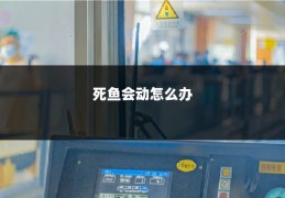 死鱼会动怎么办
