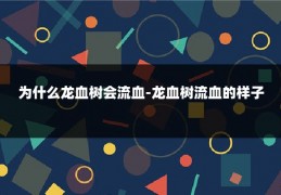 为什么龙血树会流血-龙血树流血的样子