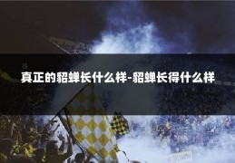 真正的貂蝉长什么样-貂蝉长得什么样