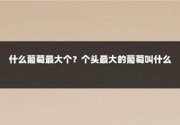 什么葡萄最大个？个头最大的葡萄叫什么