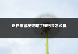 正在感冒发烧吃了枸杞会怎么样