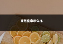 康熙皇帝怎么样