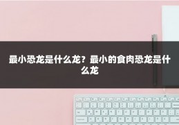 最小恐龙是什么龙？最小的食肉恐龙是什么龙