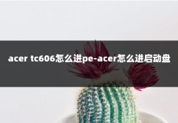 acer tc606怎么进pe-acer怎么进启动盘