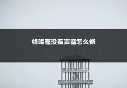 蜂鸣壶没有声音怎么修