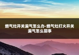 燃气灶开关漏气怎么办-燃气灶打火开关漏气怎么回事