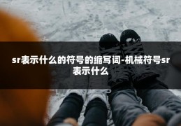 sr表示什么的符号的缩写词-机械符号sr表示什么