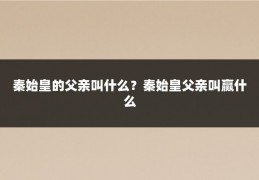 秦始皇的父亲叫什么？秦始皇父亲叫赢什么