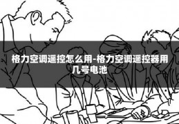 格力空调遥控怎么用-格力空调遥控器用几号电池