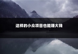 这样的小众项目也能赚大钱