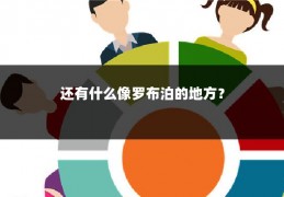 还有什么像罗布泊的地方？