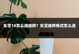 东芝18怎么进维修？东芝维修模式怎么进