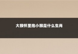 大猴怀里抱小猴是什么生肖