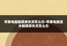 苹果电脑触摸屏失灵怎么办-苹果电脑进水触摸屏失灵怎么办