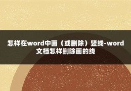 怎样在word中画（或删除）竖线-word文档怎样删除画的线