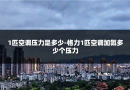 1匹空调压力是多少-格力1匹空调加氟多少个压力