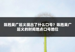 陈胜吴广起义提出了什么口号?陈胜吴广起义的时间地点口号地位