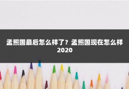 孟照国最后怎么样了？孟照国现在怎么样2020