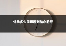 怀孕多少周可看到胎心胎芽