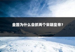 金国为什么会抓两个宋朝皇帝？
