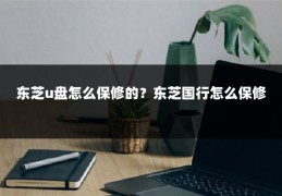 东芝u盘怎么保修的？东芝国行怎么保修