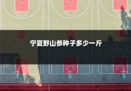 宁夏野山参种子多少一斤