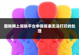 国税网上报税平台申报报表无法打印的处理