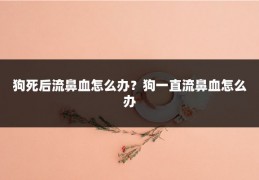 狗死后流鼻血怎么办？狗一直流鼻血怎么办