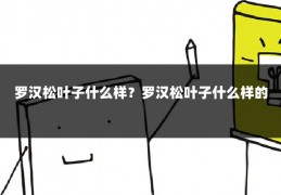 罗汉松叶子什么样?罗汉松叶子什么样的