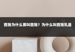 西施为什么要叫西施?为什么叫西施乳壶