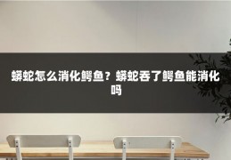 蟒蛇怎么消化鳄鱼?蟒蛇吞了鳄鱼能消化吗