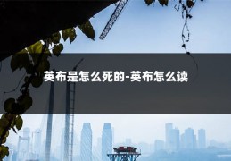 英布是怎么死的-英布怎么读