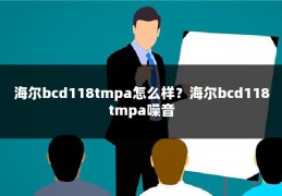 海尔bcd118tmpa怎么样?海尔bcd118tmpa噪音