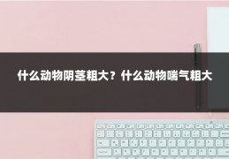 什么动物阴茎粗大？什么动物喘气粗大