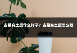 古墓夯土层什么样子?古墓夯土层怎么挖