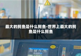 最大的鳄鱼是什么鳄鱼-世界上最大的鳄鱼是什么鳄鱼