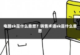 电路sk是什么意思？销售术语sk是什么意思