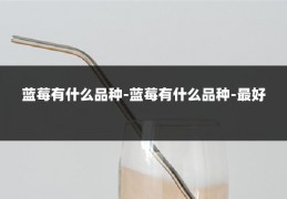 蓝莓有什么品种-蓝莓有什么品种-最好