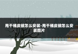 甩干桶皮碗怎么安装-甩干桶皮碗怎么安装图片