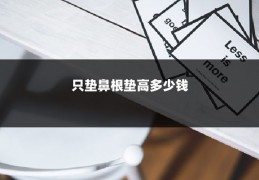 只垫鼻根垫高多少钱