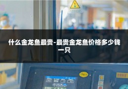 什么金龙鱼最贵-最贵金龙鱼价格多少钱一只