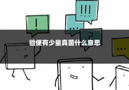 验便有少量真菌什么意思