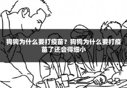 狗狗为什么要打疫苗?狗狗为什么要打疫苗了还会得细小
