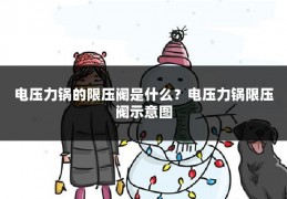 电压力锅的限压阀是什么?电压力锅限压阀示意图