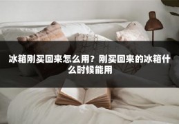 冰箱刚买回来怎么用?刚买回来的冰箱什么时候能用