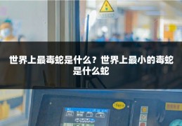 世界上最毒蛇是什么?世界上最小的毒蛇是什么蛇