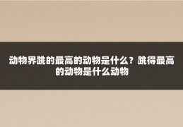 动物界跳的最高的动物是什么？跳得最高的动物是什么动物