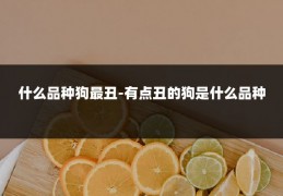 什么品种狗最丑-有点丑的狗是什么品种