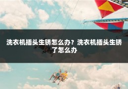 洗衣机插头生锈怎么办?洗衣机插头生锈了怎么办