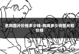 名狗图片价格多少钱-狗绳多少钱图片和价格